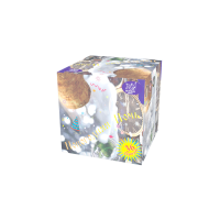 Новогодняя ночь Салют купить в Копейске | kopejsk.salutsklad.ru