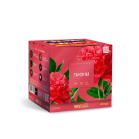 Пионы Салют купить в Копейске | kopejsk.salutsklad.ru