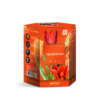 Тюльпаны Салют купить в Копейске | kopejsk.salutsklad.ru