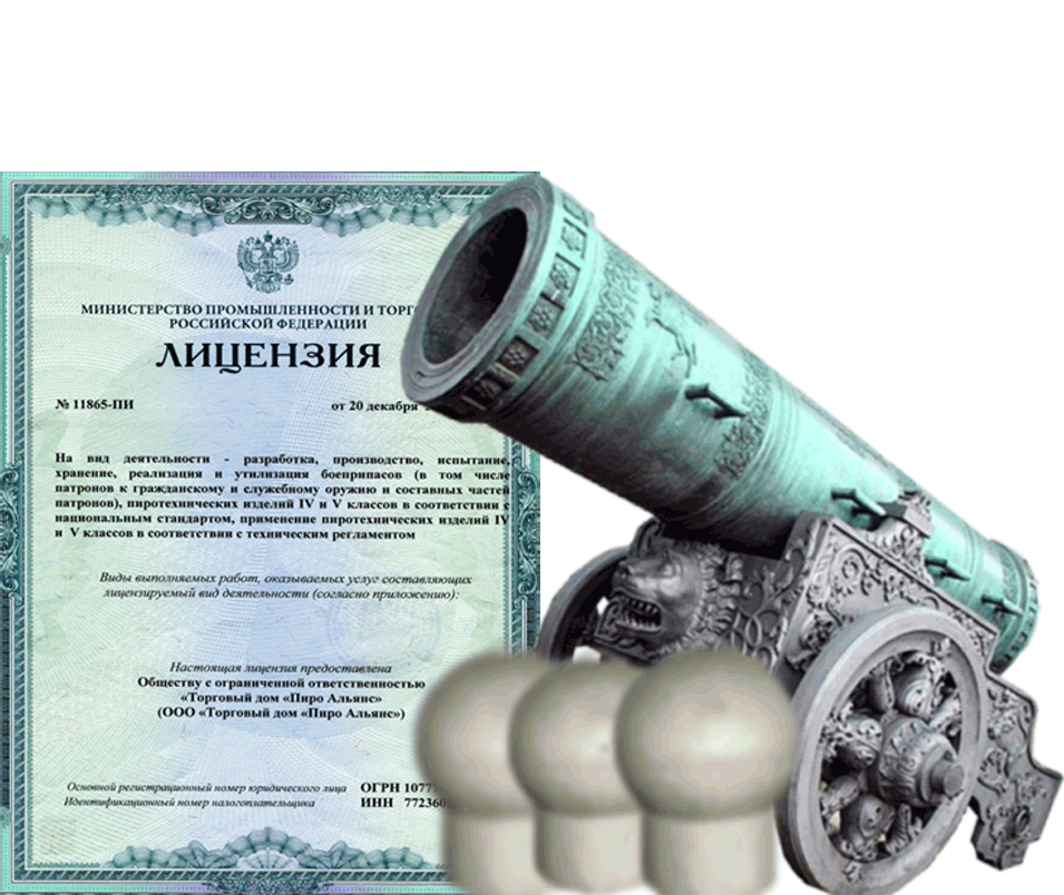 Заказать фейерверк на Новый Год - салют в Копейске