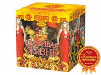 Красивая жизнь Фейерверк купить в Копейске | kopejsk.salutsklad.ru