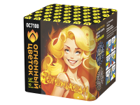 С огоньком! Фейерверк купить в Копейске | kopejsk.salutsklad.ru