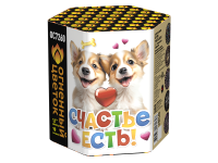 Счастье есть! Салют купить в Копейске | kopejsk.salutsklad.ru