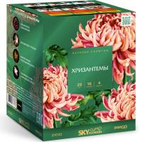 Хризантемы Фейерверк купить в Копейске | kopejsk.salutsklad.ru