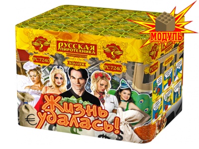 Жизнь удалась Фейерверк купить в Копейске | kopejsk.salutsklad.ru