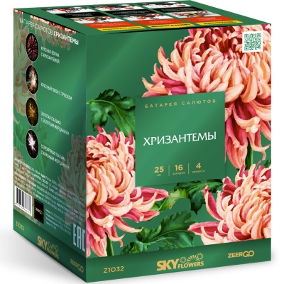 Хризантемы Фейерверк купить в Копейске | kopejsk.salutsklad.ru