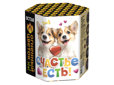 Счастье есть! Салют купить в Копейске | kopejsk.salutsklad.ru