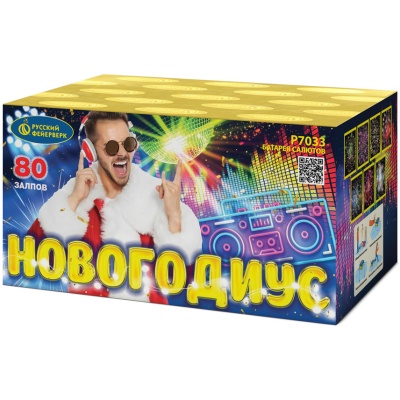 Новогодиус Фейерверк купить в Копейске | kopejsk.salutsklad.ru