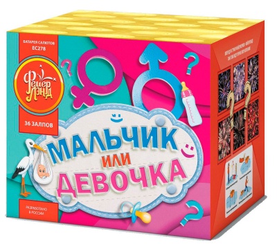 Мальчик или девочка М Фейерверк купить в Копейске | kopejsk.salutsklad.ru